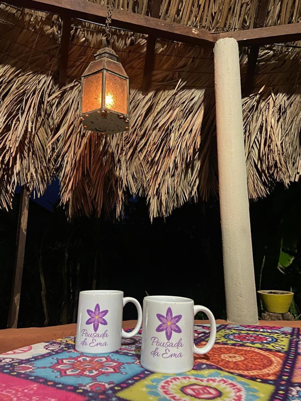 Pousada Canela De Ema Mateiros Buitenkant foto
